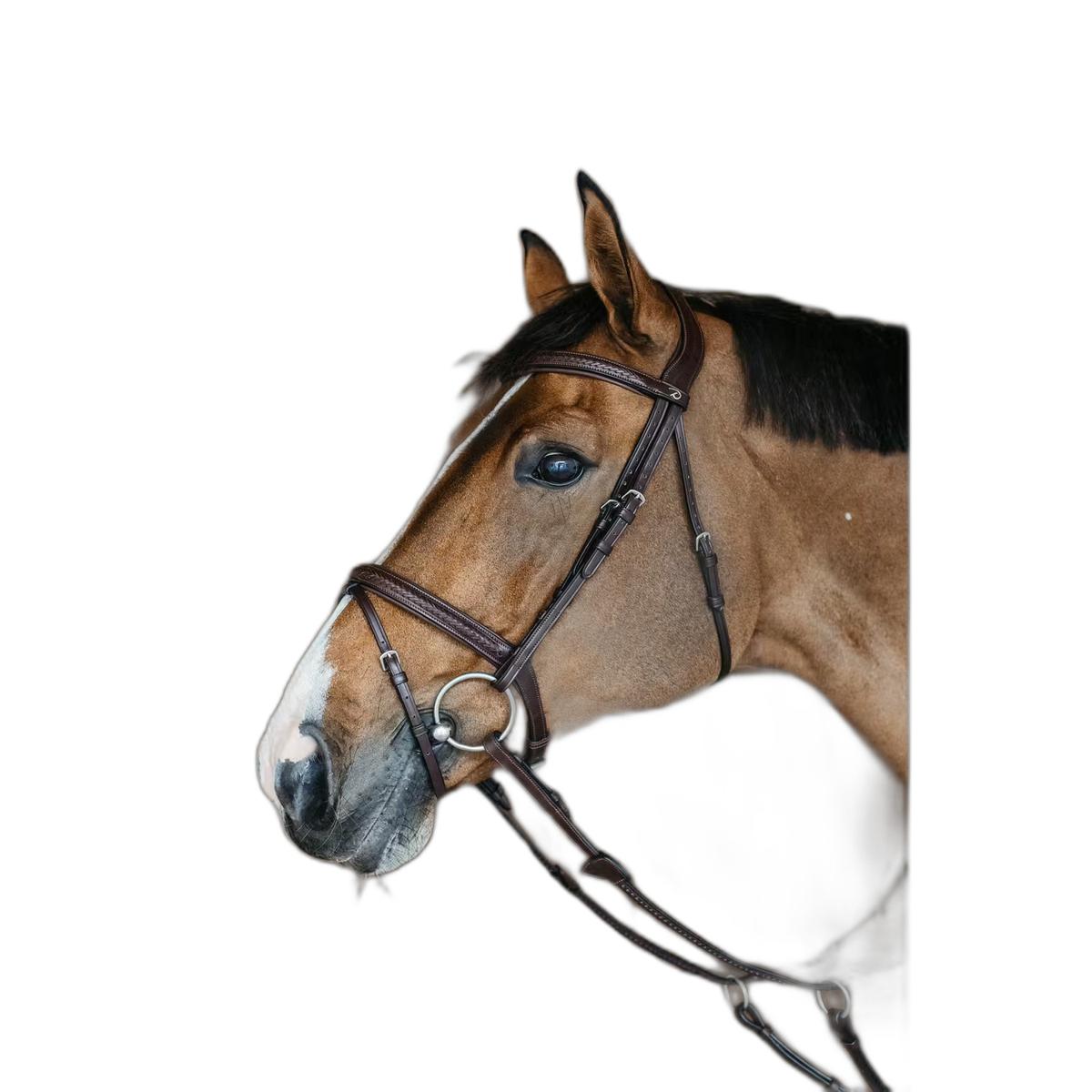 product/d/y/dy-on_neaoakbrc_brun_1.jpg