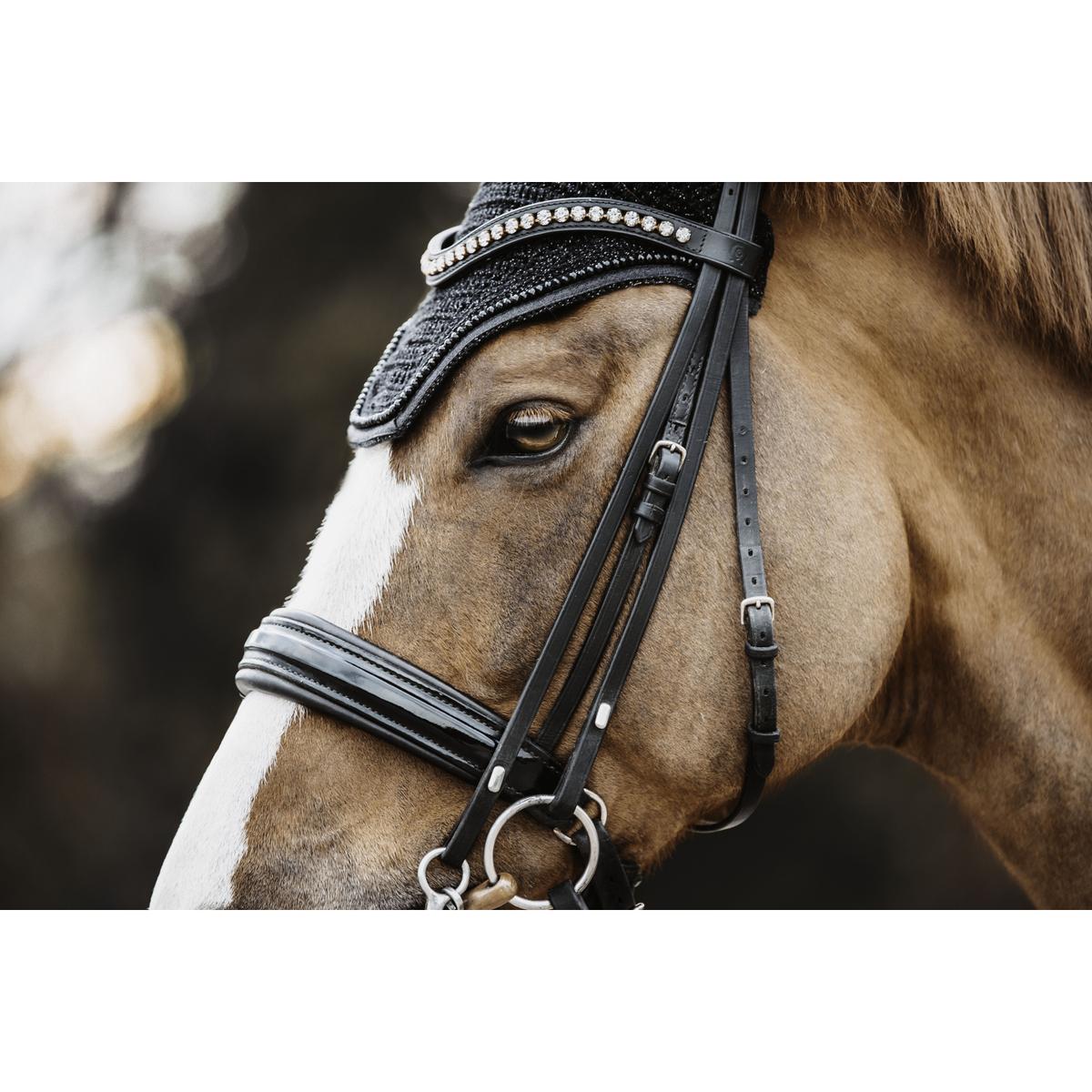 product/k/e/kentucky_42618-01-f_2.jpg