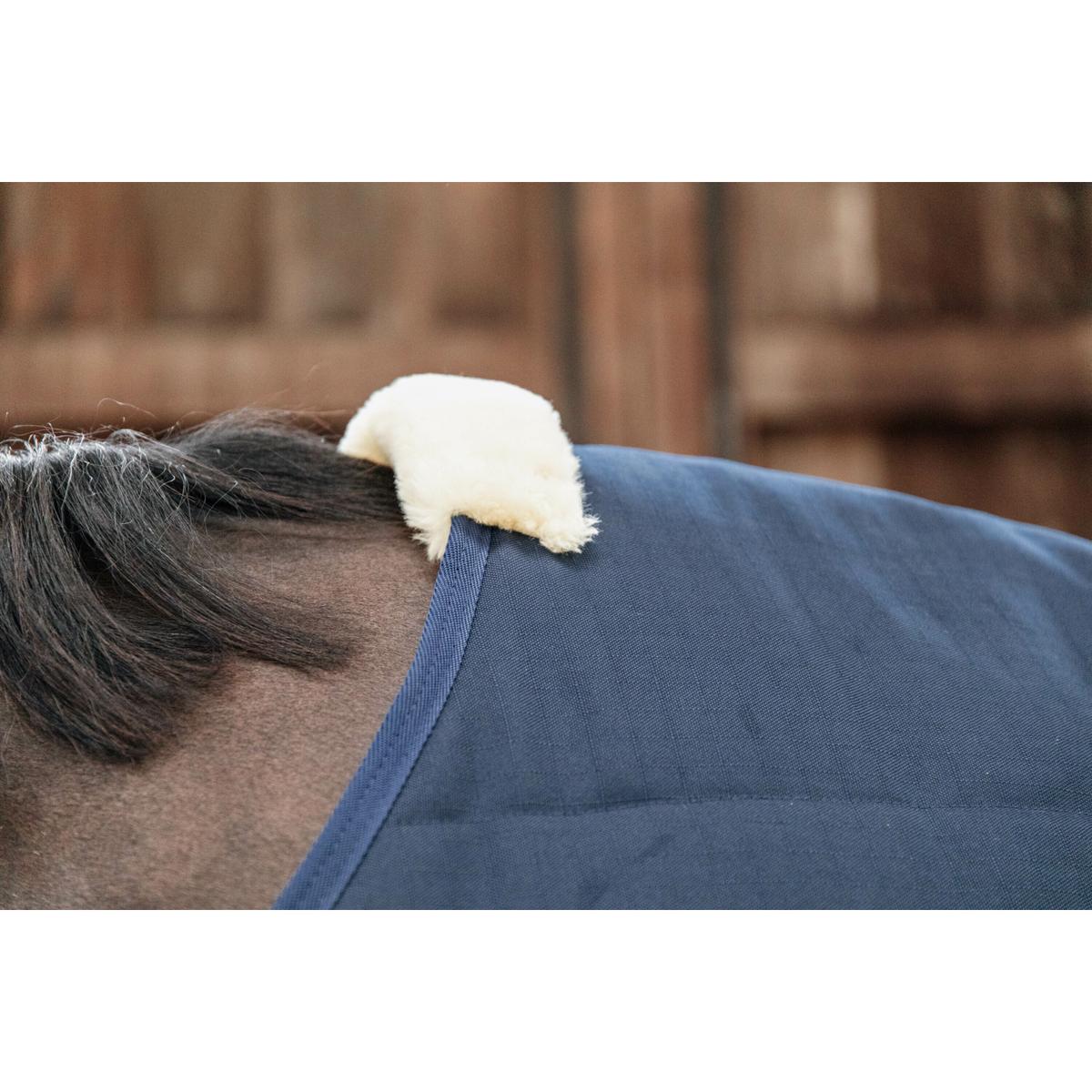 product/k/e/kentucky_52164-03_5.jpg
