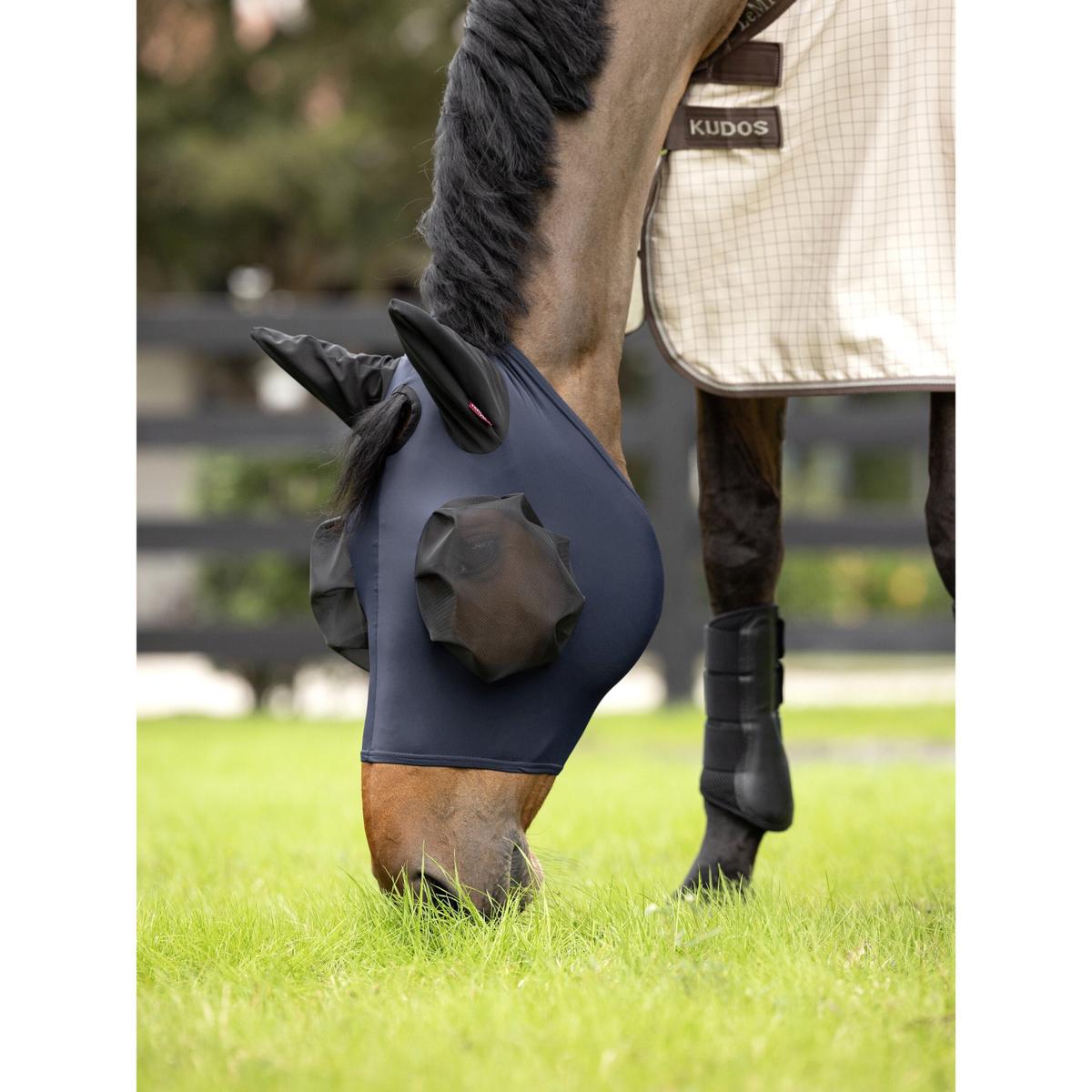 product/l/e/lemieux_it04141006_0.jpg