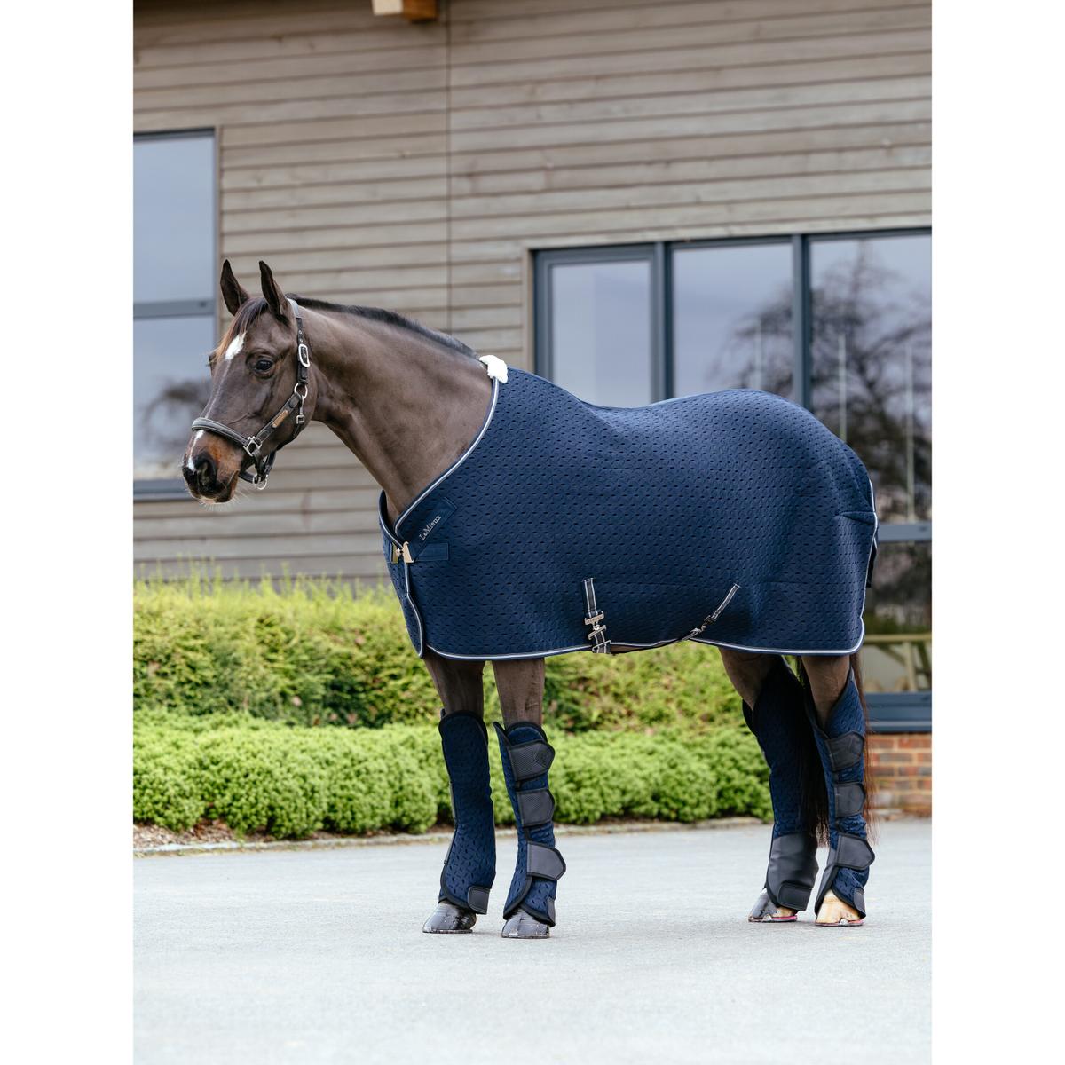 product/l/e/lemieux_it04741025_navy_5.jpg
