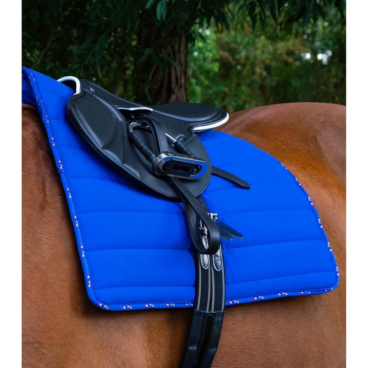 product/p/r/premier-equine_3009rb_2.jpg