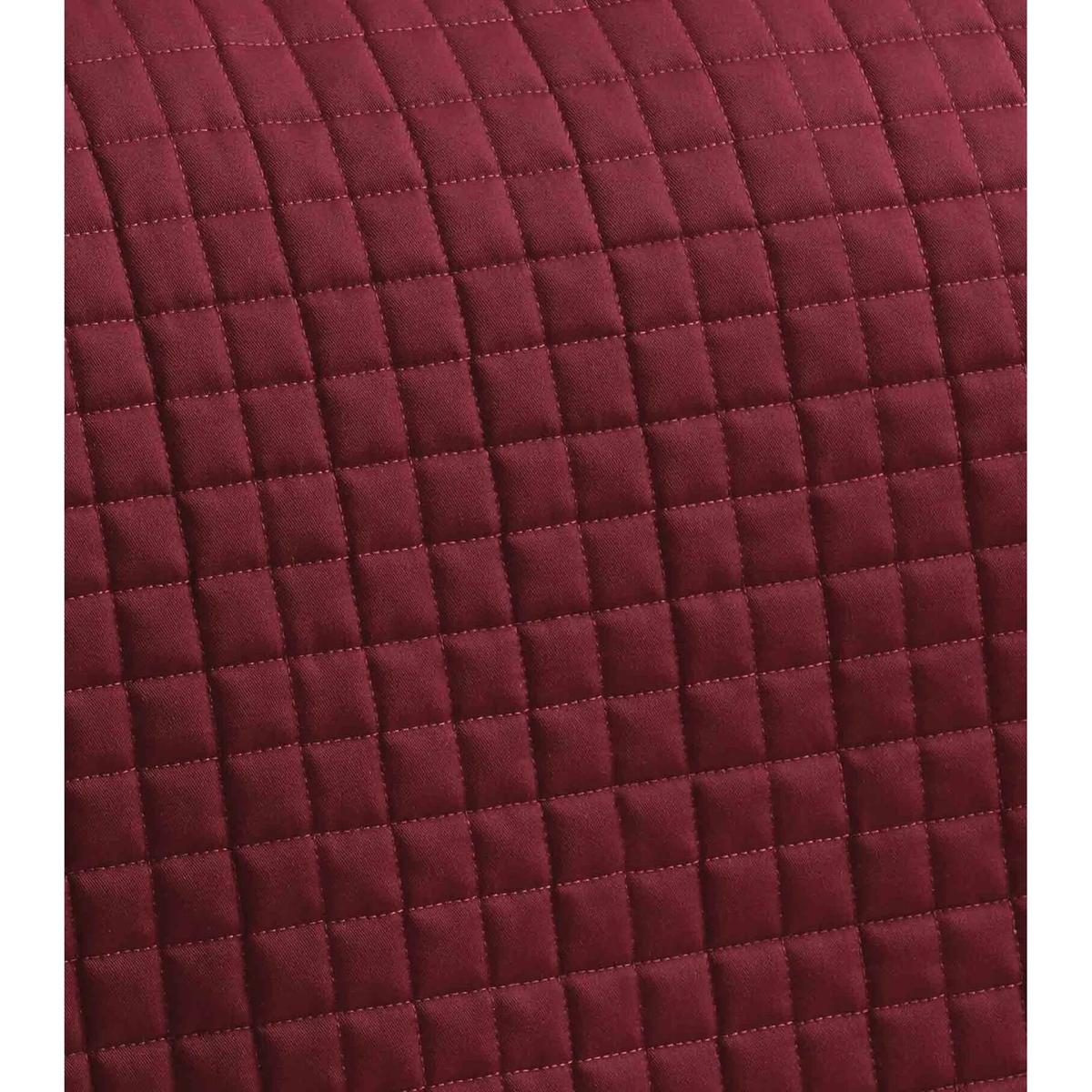 product/p/r/premier-equine_3011brgn_4.jpg