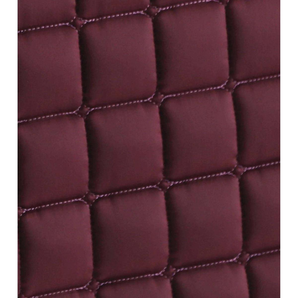 product/p/r/premier-equine_3025wne_4.jpg