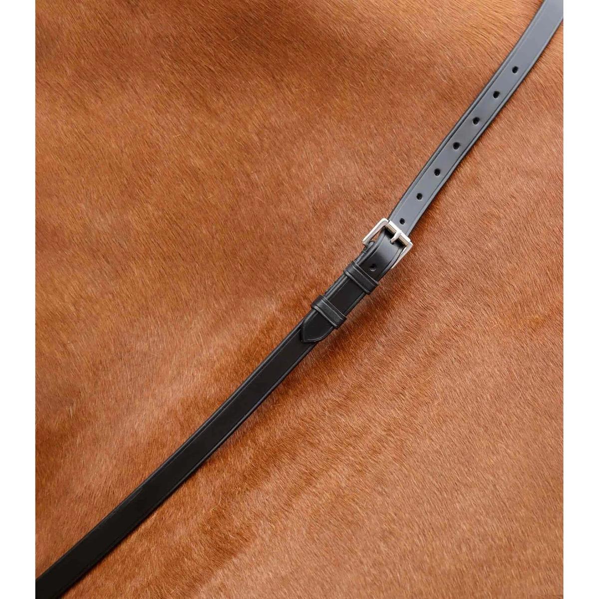 product/p/r/premier-equine_8032-blk_2.jpg