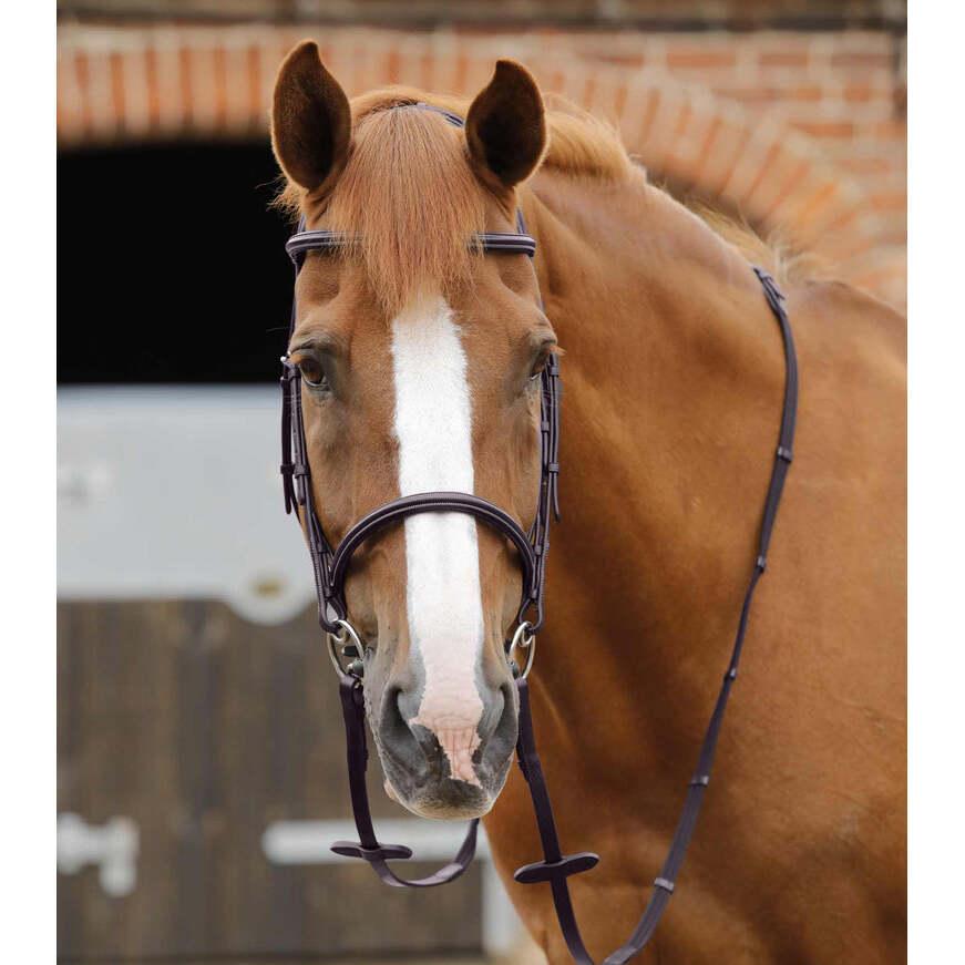 product/p/r/premier-equine_8040-brw_dark-brown_6.jpg