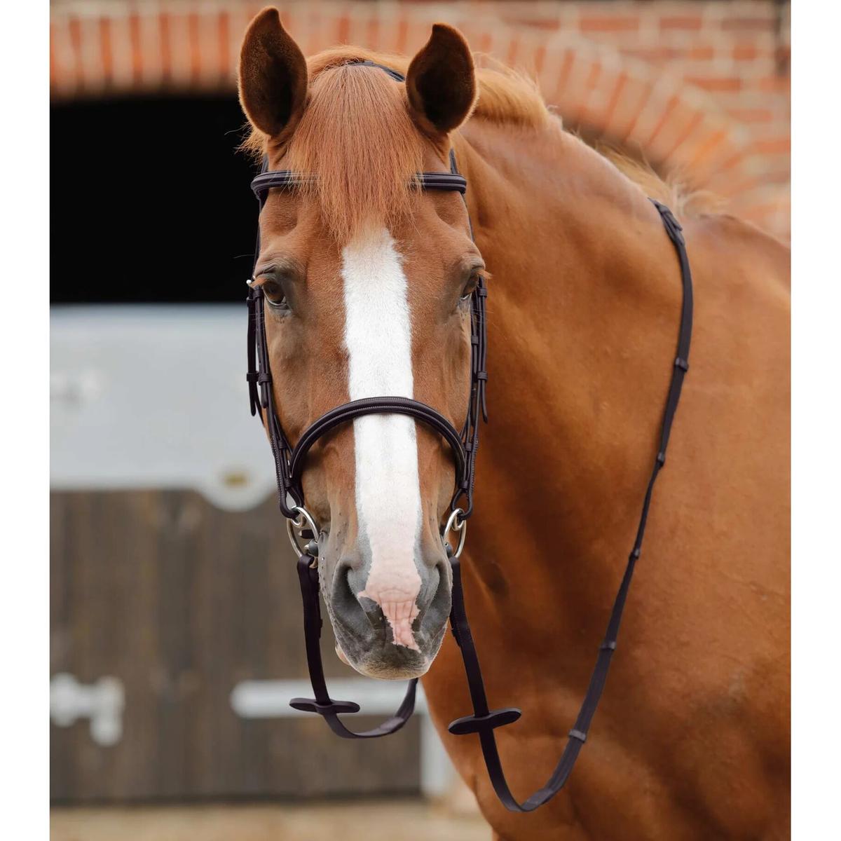 product/p/r/premier-equine_8046-brw_1.jpg