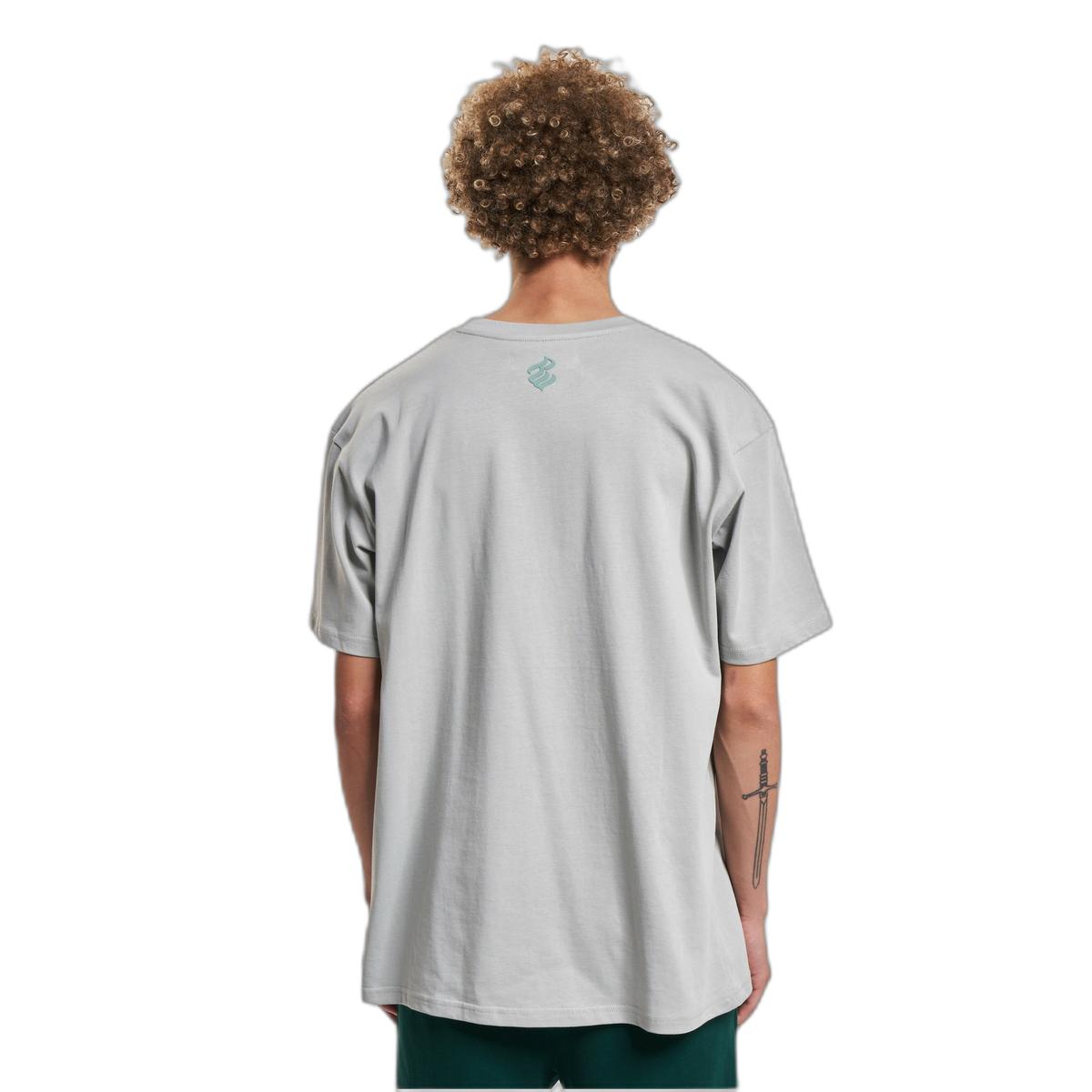 product/r/o/rocawear_rwts102-00111_grey_2.jpg