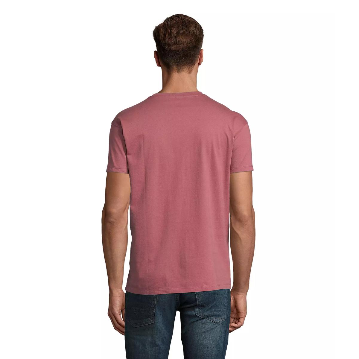 product/s/o/sol-s_11500-170_vieux-rose_2.jpg
