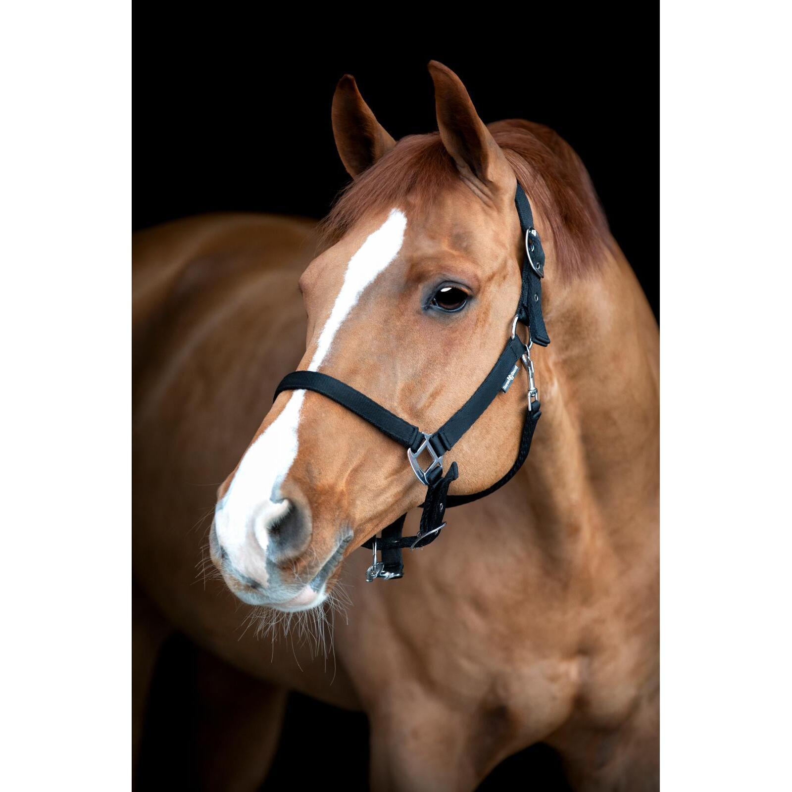 product/h/o/horseguard-505242001-black-2.jpg