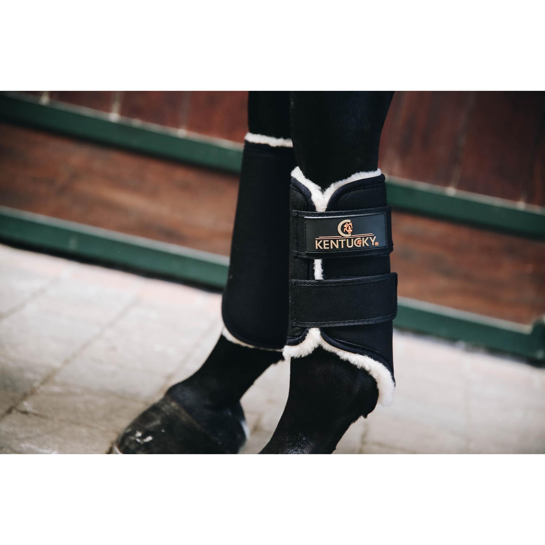 product/k/e/kentucky_42301-01-f.jpg