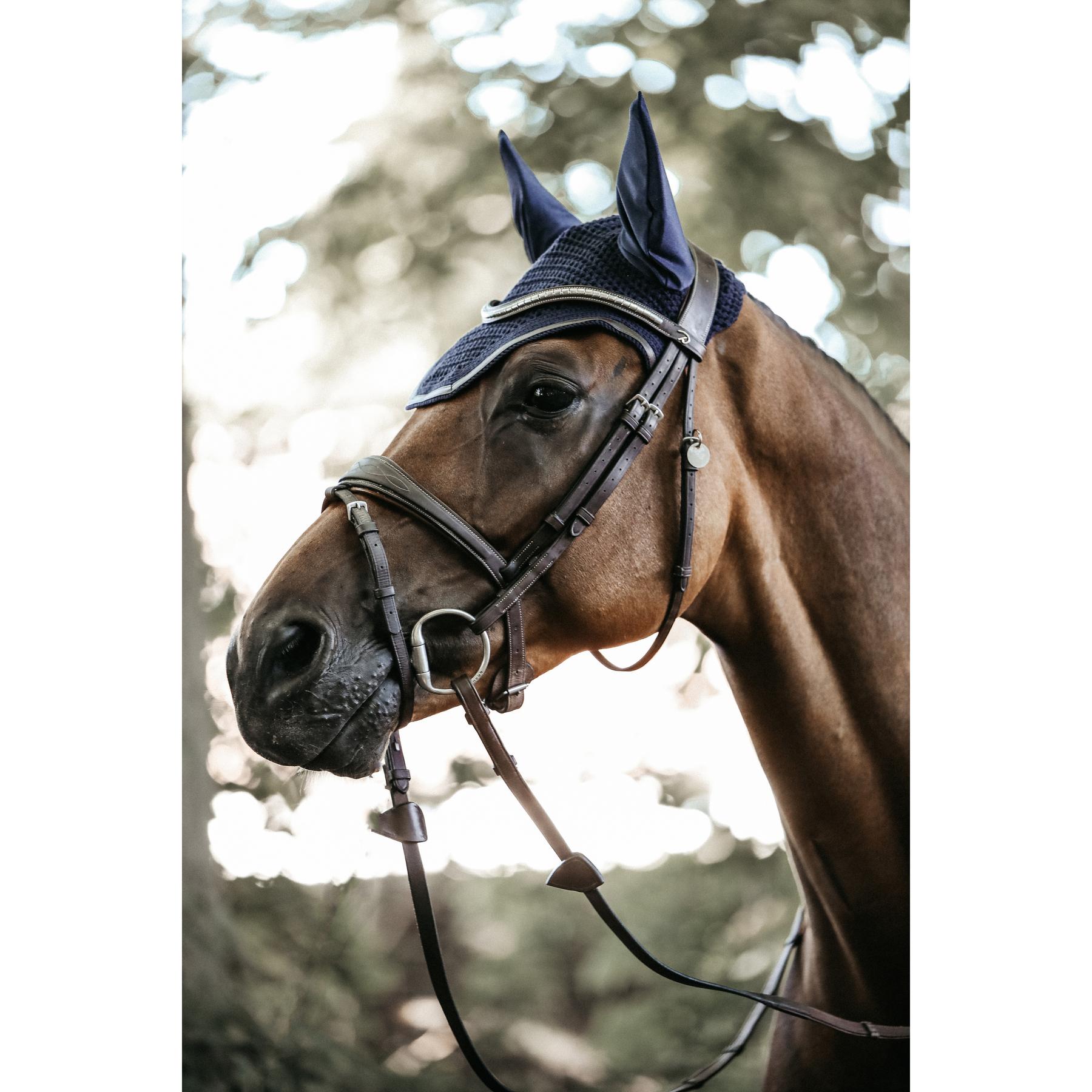 product/k/e/kentucky_42612-33-f.jpg