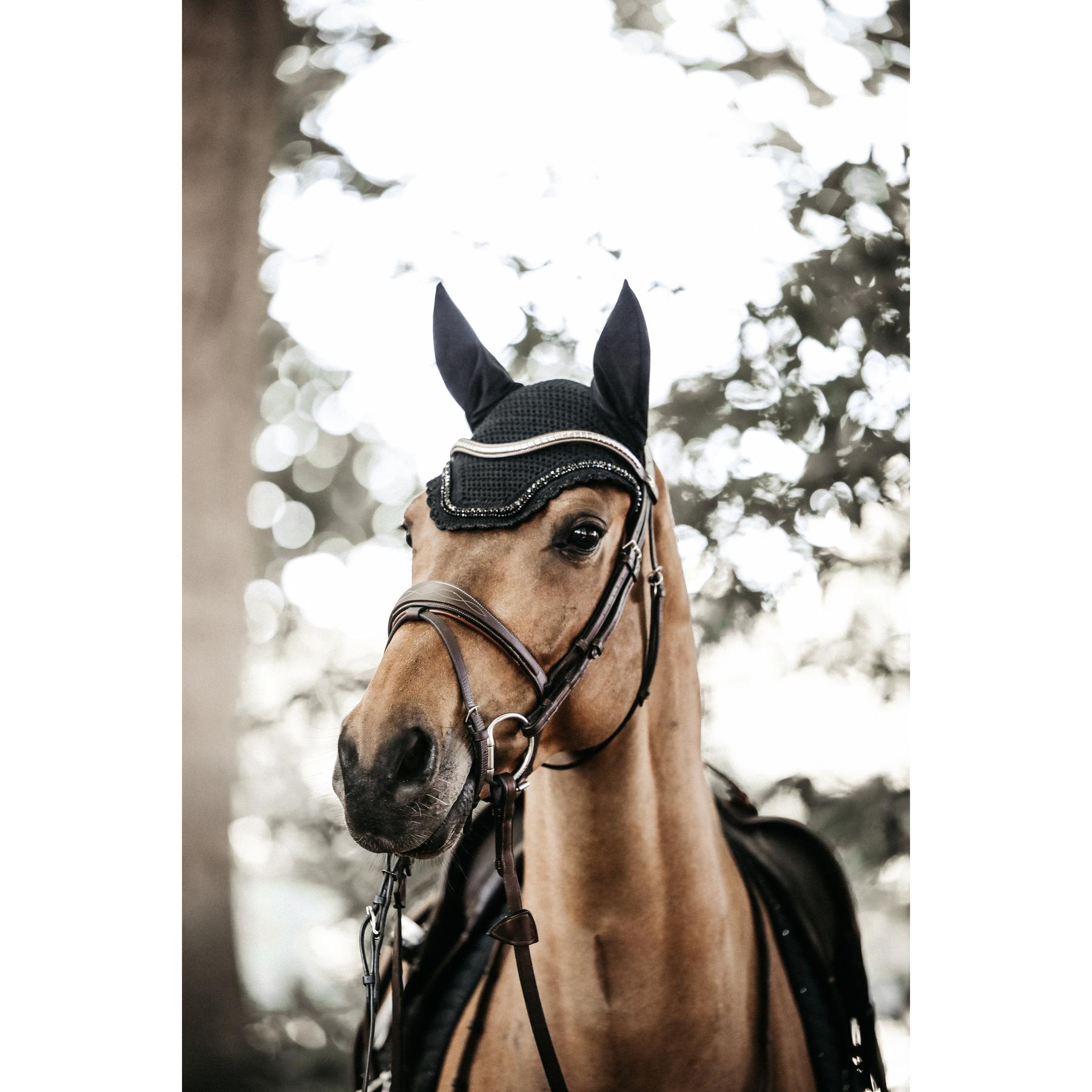 product/k/e/kentucky_42614-01-c_2.jpg