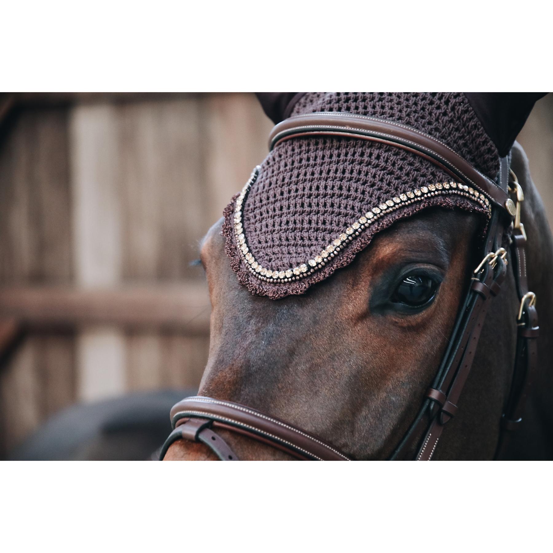 product/k/e/kentucky_42616-05-f_2.jpg
