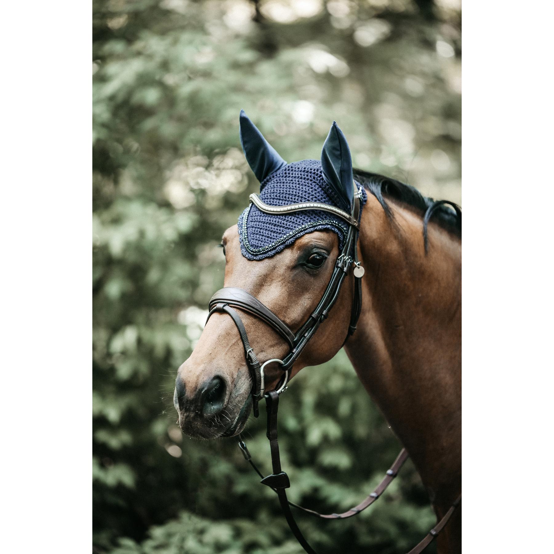 product/k/e/kentucky_42616-33-f_2.jpg