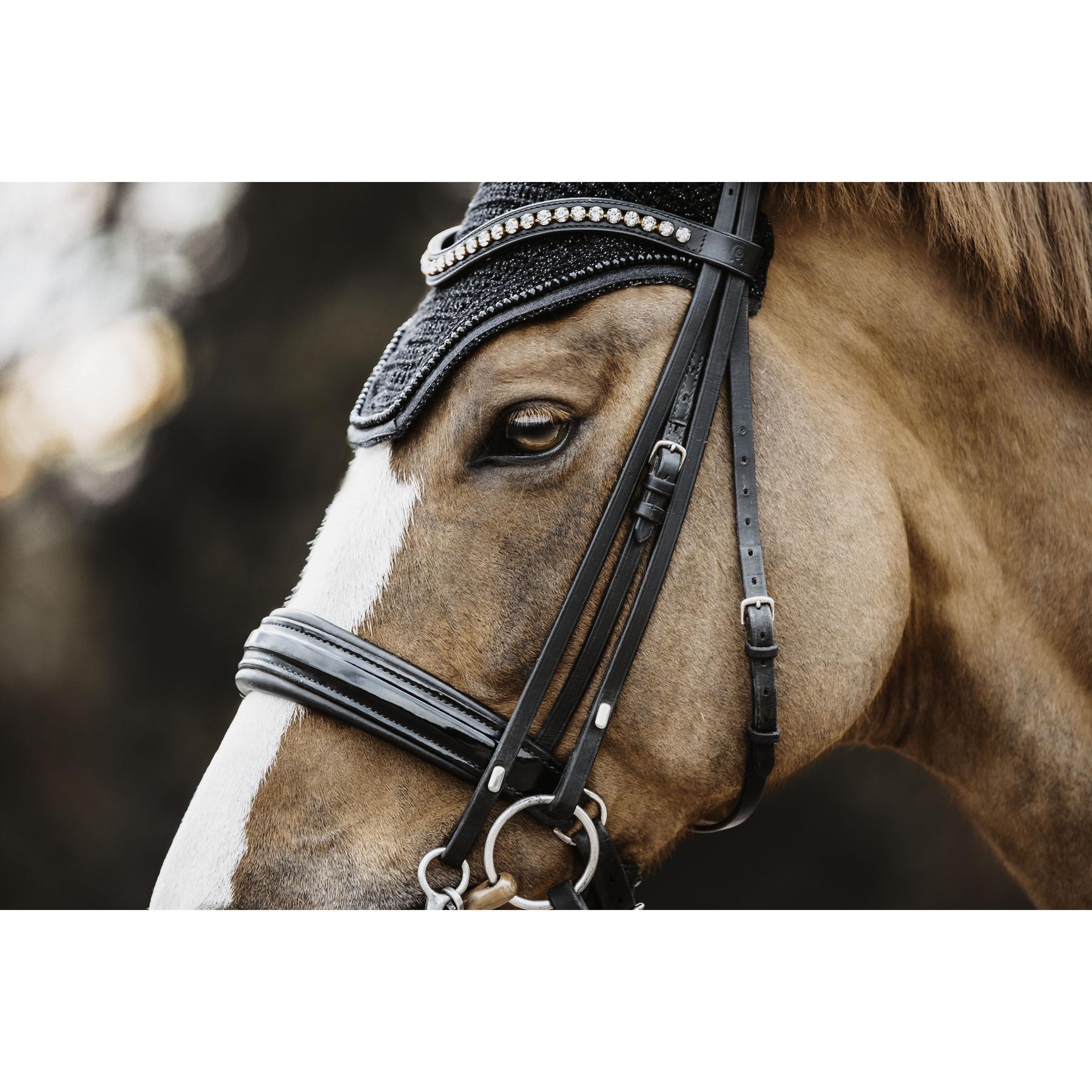product/k/e/kentucky_42618-01-f_2.jpg
