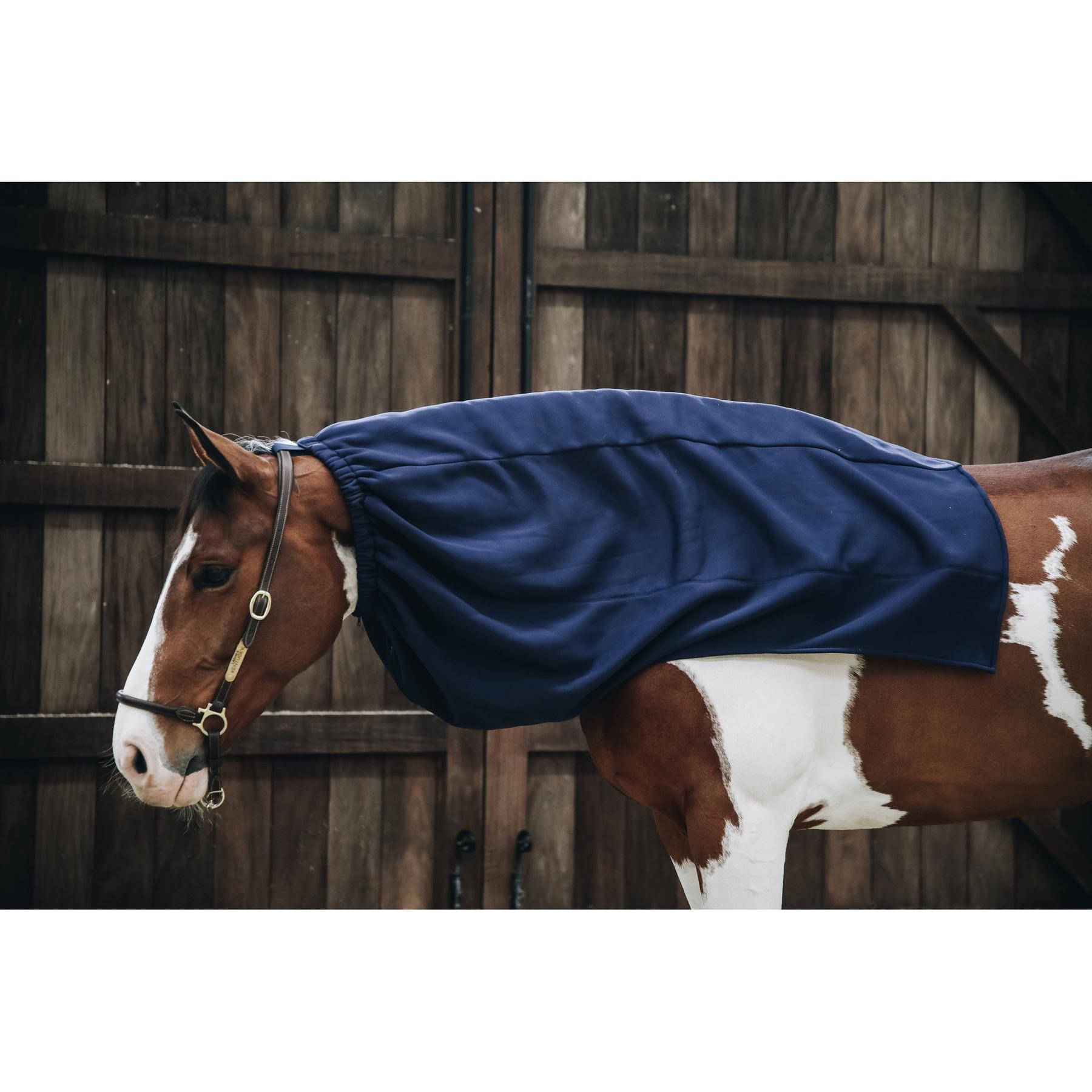 product/k/e/kentucky_52123-03-f_2.jpg