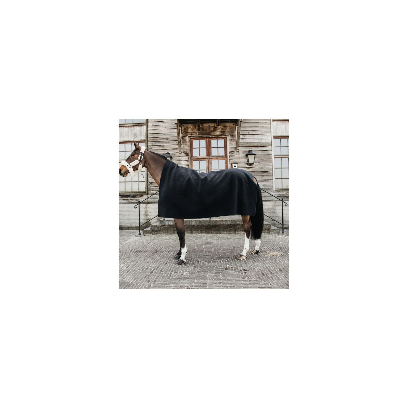 product/k/e/kentucky_52174-01-140x120_black_2.jpg