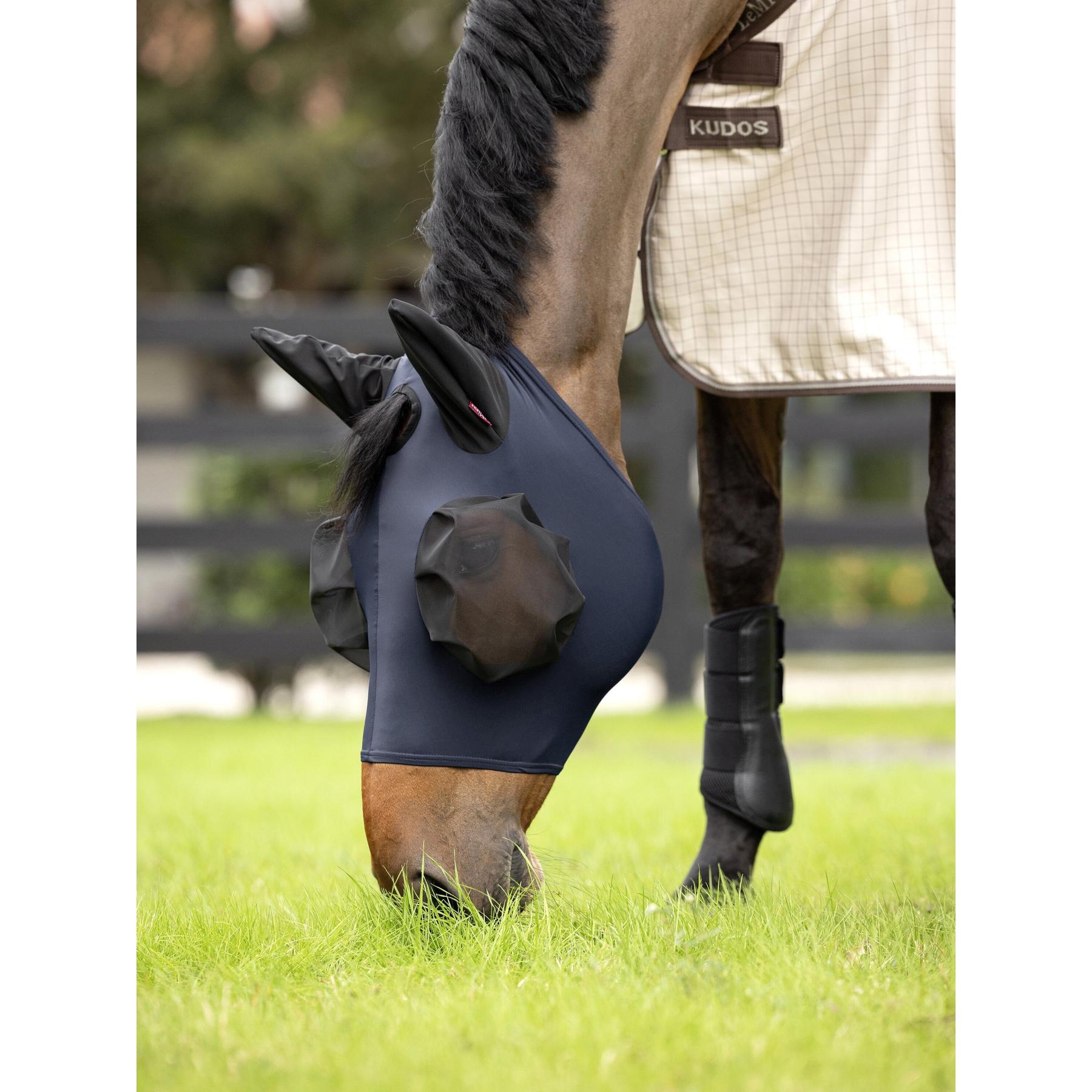 product/l/e/lemieux_it04141006_0.jpg