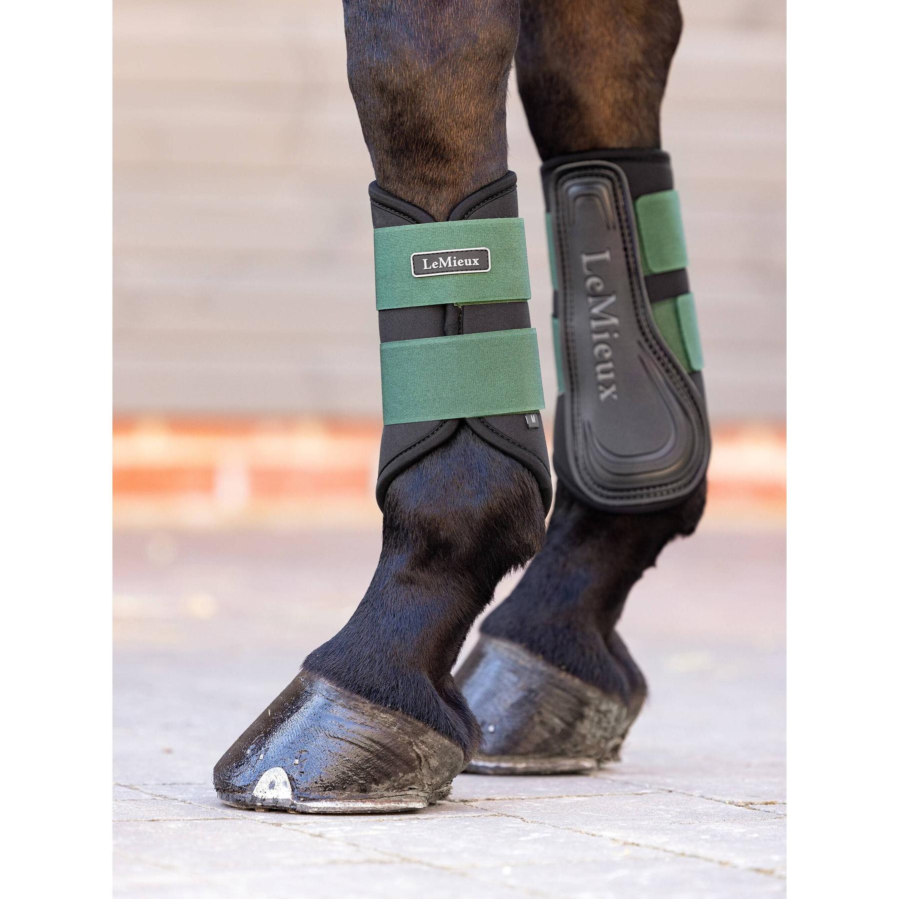 product/l/e/lemieux_it04919003_hunter-green_4.jpg