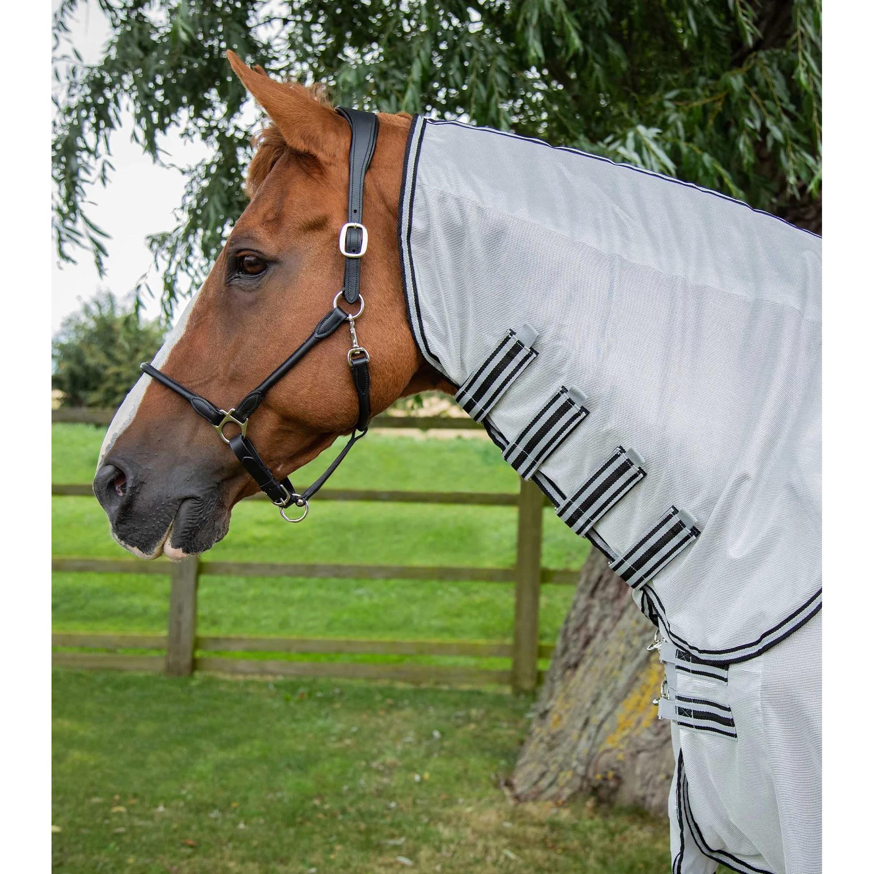 product/p/r/premier-equine_202073slv_silver_2.jpg