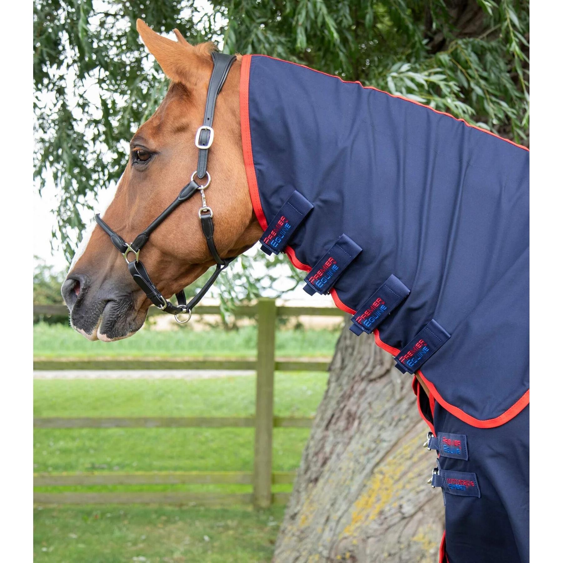 product/p/r/premier-equine_209356n_4.jpg