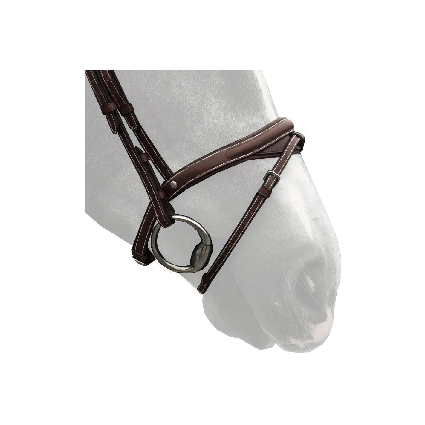 product/s/i/silver-crown_cn12n_australian-nut_1.jpg