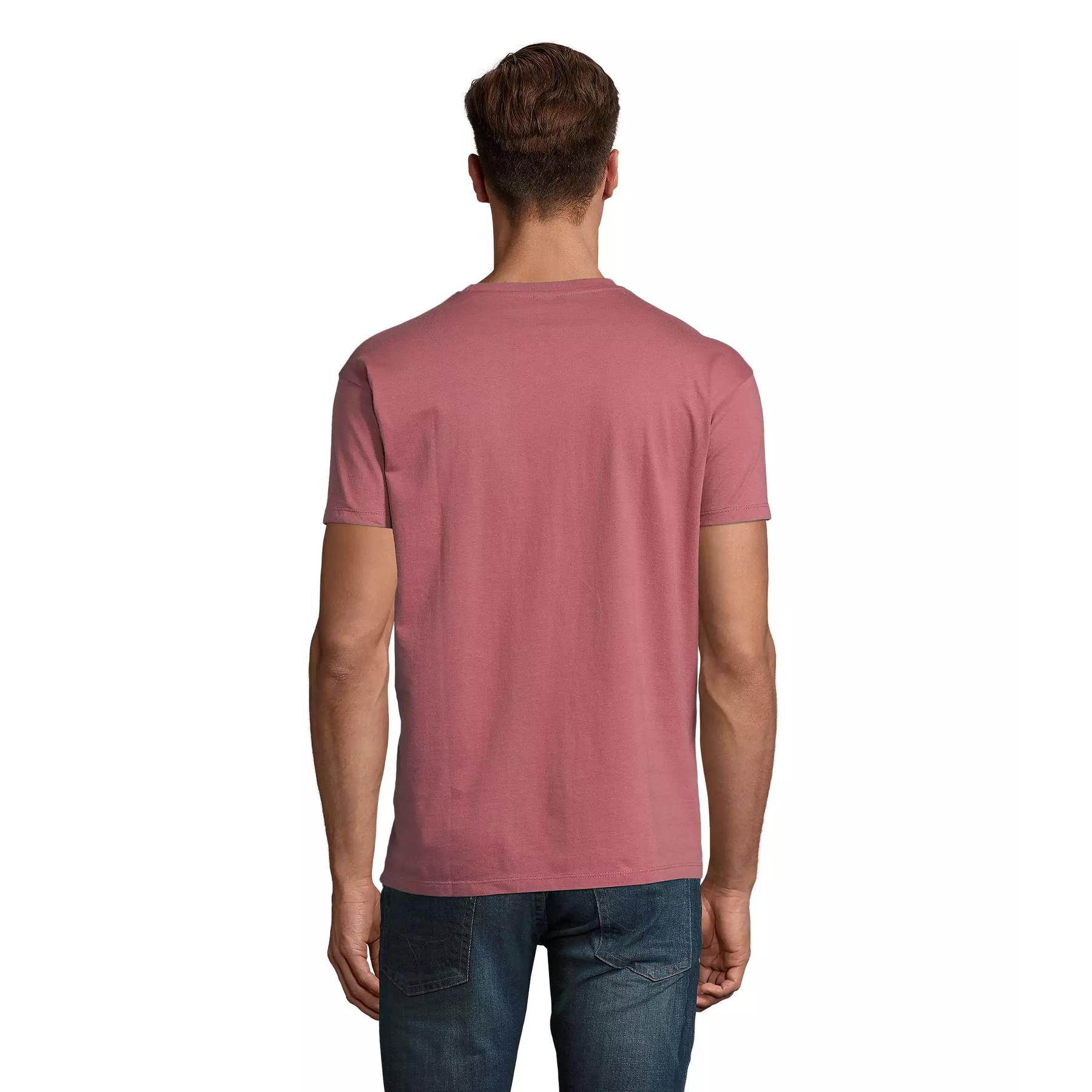 product/s/o/sol-s_11500-170_vieux-rose_2.jpg