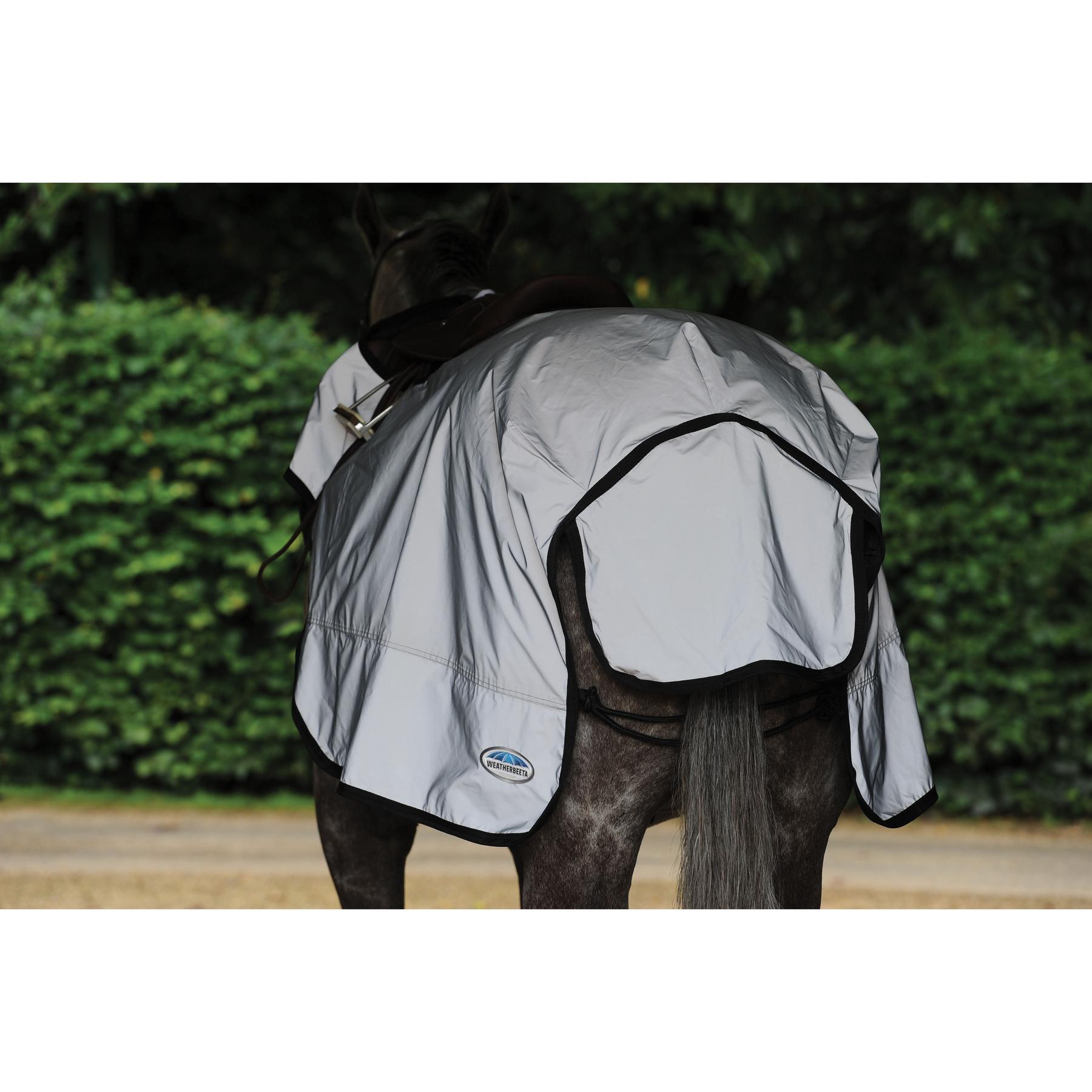 product/w/e/weatherbeeta_1004324001_2.jpg
