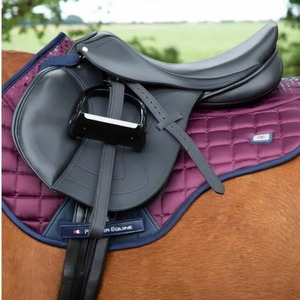 Selle / Cinghie