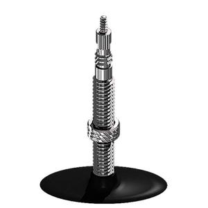 318627-camera-d-aria-della-valvola-presta-schwalbe-18x1-75-2-35-nero-argento-40-mm