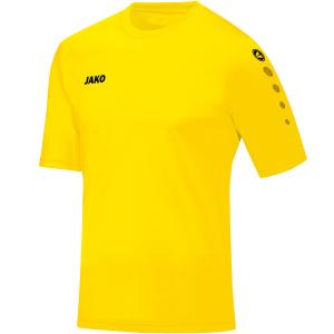 4233-u-03-maglia-jako-team-giallo-limone