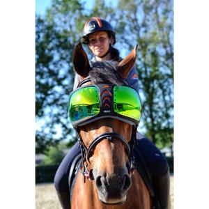 evysor5-occhiali-da-cavallo-equick-evysor-verde-tu