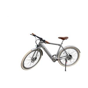 vae-a-sil-bicicletta-elettrica-con-parafango-alerion-argento