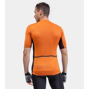 product/a/l/ale_l14254319-03_orange_2.jpg