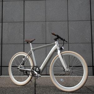 vae-a-sil-bicicletta-elettrica-senza-parafango-alerion-argento