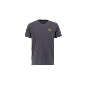 128507-684-t-shirt-alpha-industries-backprint-grigio-vintage