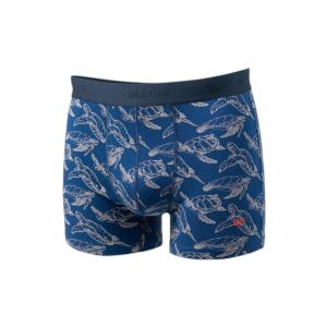 bo67-boxer-billybelt-turtle-twist-blu