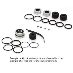 1043713-kit-di-manutenzione-per-forcelle-moto-bitubo-rdx-kdx-argento-nero-tu