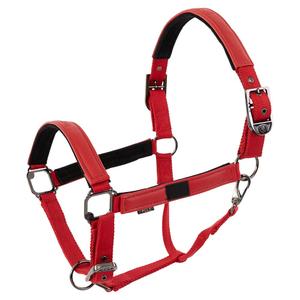 432340-r051-830-cavezza-br-equitation-jade-tangored