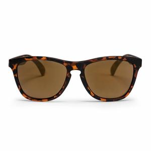 16131sd-occhiali-da-sole-chpo-brand-bodhi-medium-large-tartaruga-marrone-marrone-tu