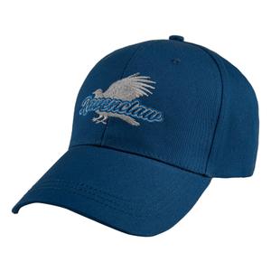 hpe61283-cappellino-baseball-cinereplicas-harry-potter-blu-tu