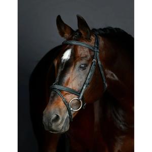 1025191001-bite-da-equitazione-hanoveriana-imbottita-collegiate-comfitec-opulux-fancy-stitch-nero