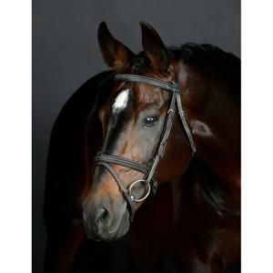 1025191005-bite-da-equitazione-hanoveriana-imbottita-collegiate-comfitec-opulux-fancy-stitch-marrone-scuro