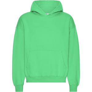 cs1015-springgreen-felpa-oversize-con-cappuccio-colorful-standard-organic-spring-green-verde-primavera