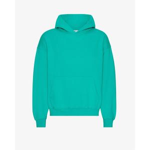 cs1015-tropicalsea-felpa-oversize-con-cappuccio-colorful-standard-tropical-sea-mare-tropicale