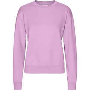 cs2052-cherryblossom-felpa-girocollo-da-donna-colorful-standard-classic-organic-cherry-blossom-fiore-di-ciliegio