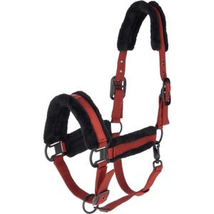 3231082-cavezza-covalliero-ruggine