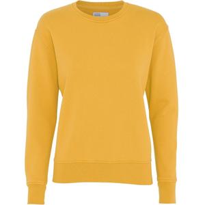 cs2052-burnedyellow-maglione-girocollo-da-donna-colorful-standard-classic-organic-burned-yellow-giallo-bruciato