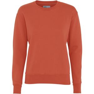 cs2052-darkamber-maglione-girocollo-da-donna-colorful-standard-classic-organic-dark-amber-ambra-scuro